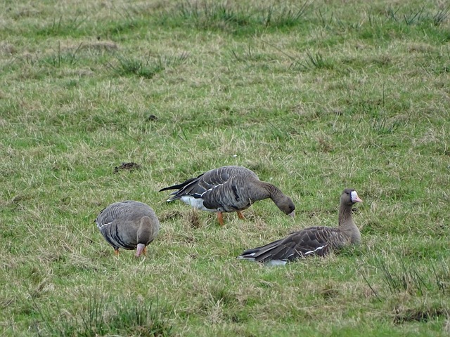 球話題當中 球話題當中