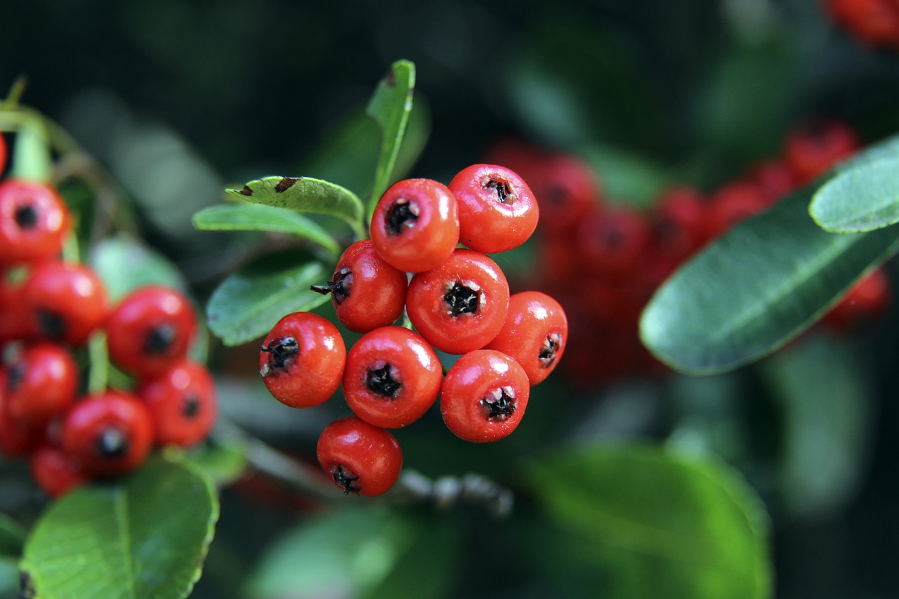 無論如何 無論如何