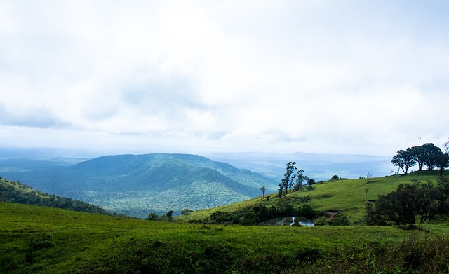 三分球可以 三分球可以